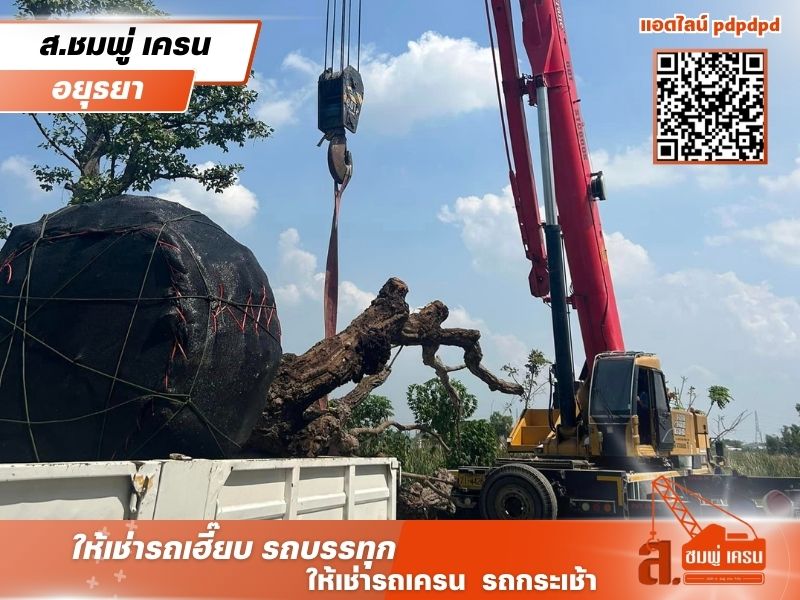 รถเครนให้เช่า อยุธยา